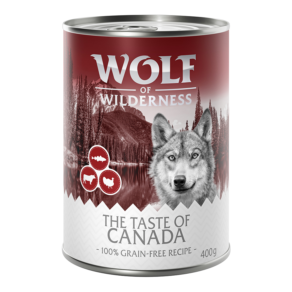 foto del prodotto wolf of wilderness the taste of 6 x 400 g umido per cane canada manzo, tacchino, mirtillo