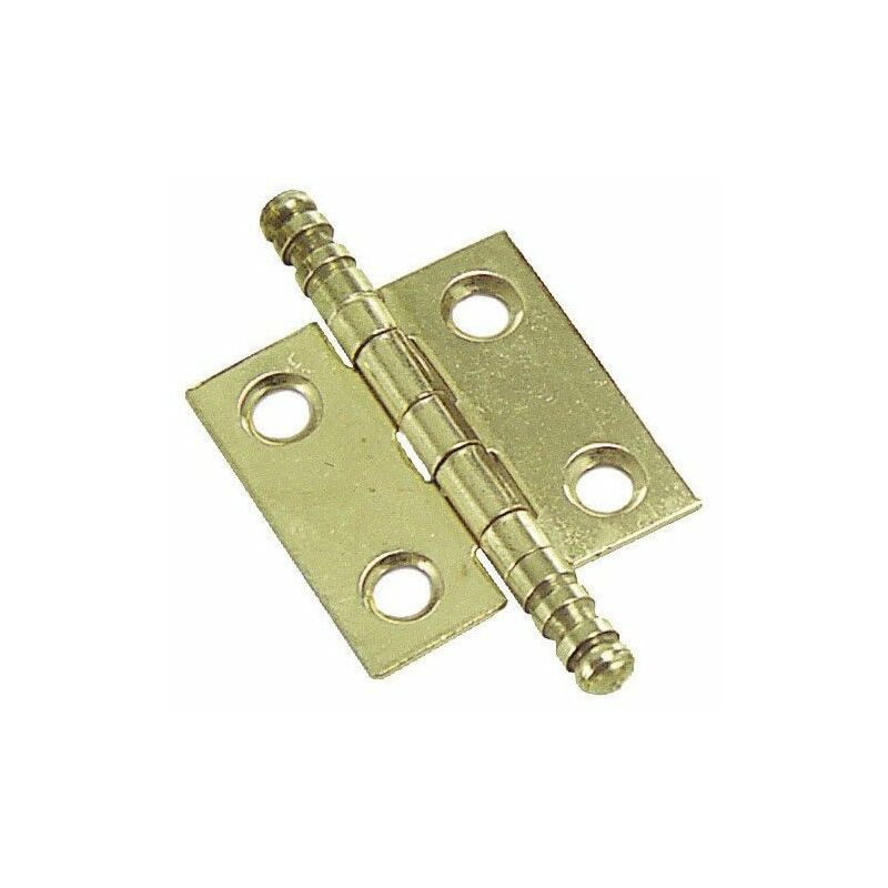 foto del prodotto wolfpack cerniera ottone 207 25x25 mm.