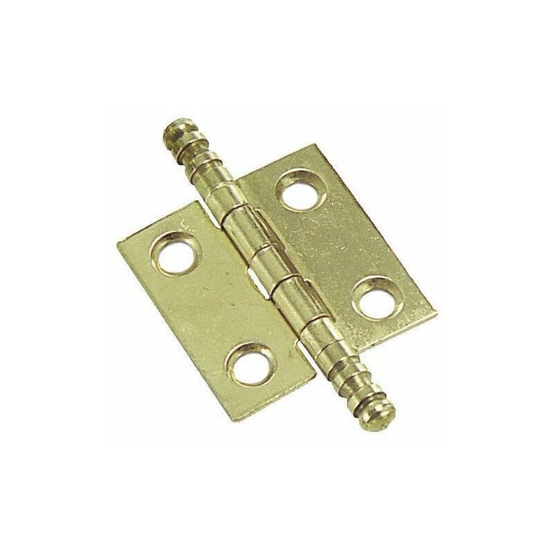 foto del prodotto wolfpack cerniera ottone 207 40x35 mm.