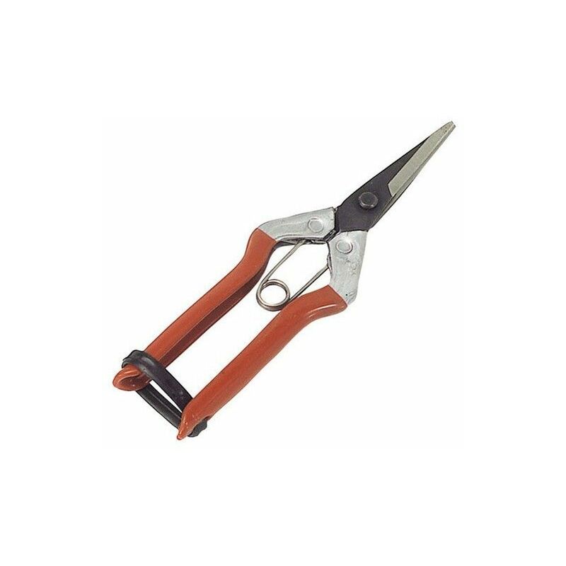 foto del prodotto wolfpack forbici vendemmia uva 1 mano p 1552 180 mm.