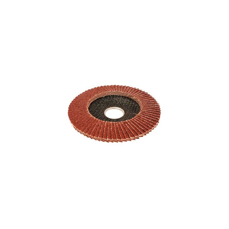 foto del prodotto workpro disco lamellare convesso 115x22,2mm 80g