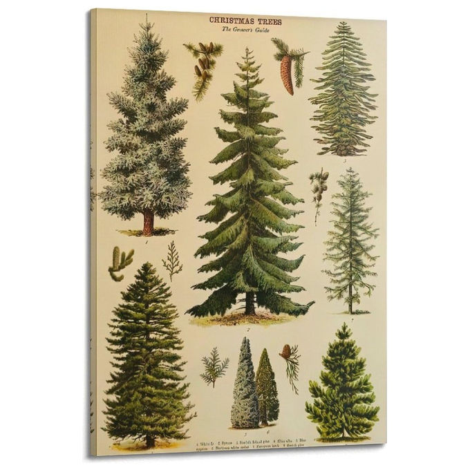 foto del prodotto yeppon stampa artistica su tela alta qualita'