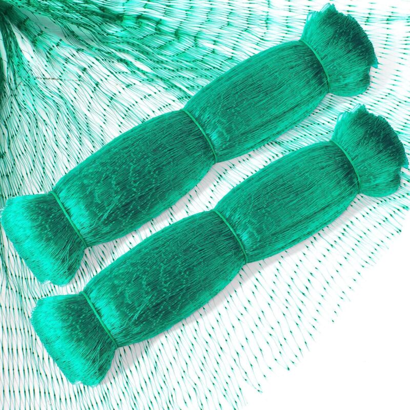 foto del prodotto ymyny 2 pezzi 4 m x 12 m rete anti uccelli per proteggere piante da giardino, frutta, fiori, verdure, resistente, verde