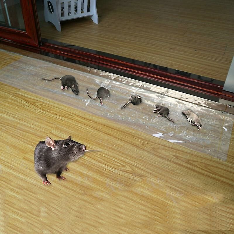 foto del prodotto ymyny confezione da 6 adesivi invisibili a forma di ratto da 1,2 m