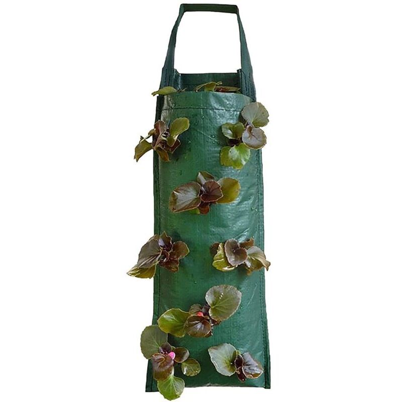 foto del prodotto ymyny crediri borsa per piantare fragole, fioriera sospesa per fragole, borse per piantare sospese traspiranti con pi fori, per patii, piccoli