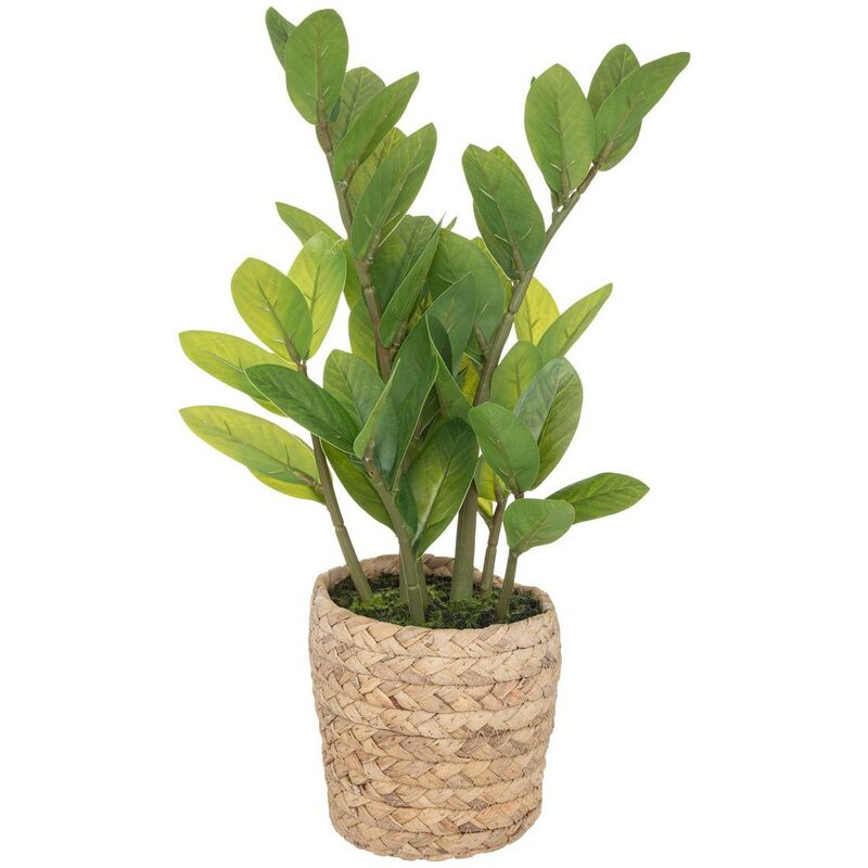 foto del prodotto zamio artificiale h41cm atmosphera cr ateur d int rieur