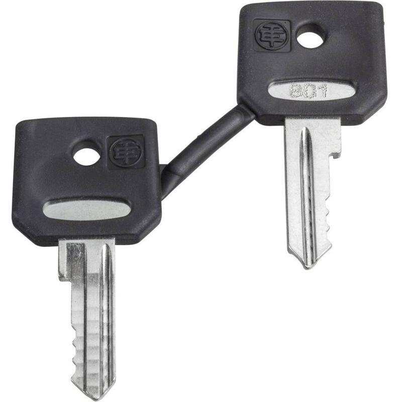 foto del prodotto zbg421e chiave di ricambio 1 pz. schneider electric