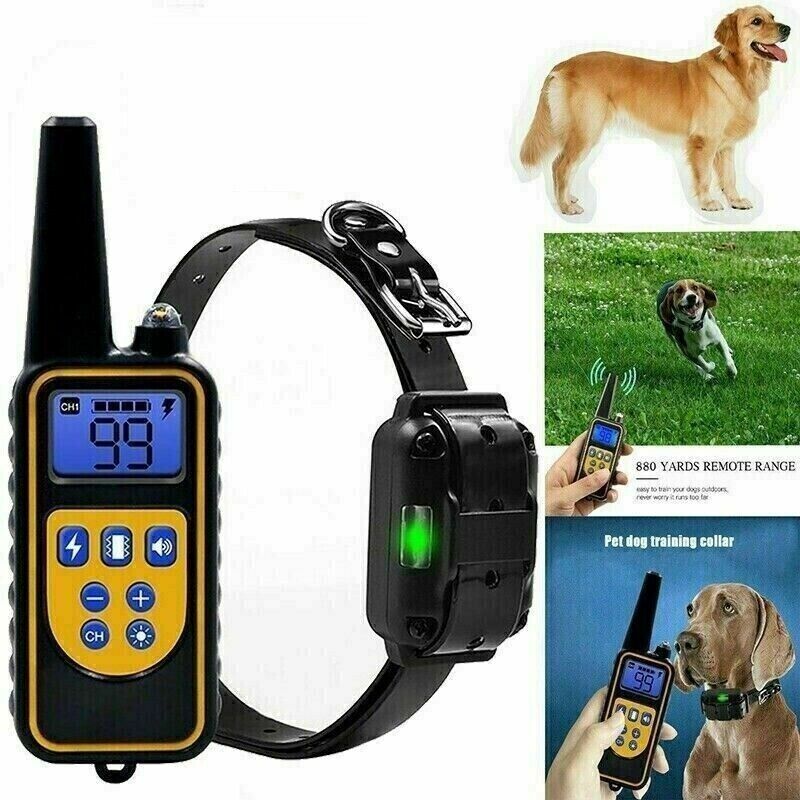 foto del prodotto zencocco collare 800m impermeabile telecomando cani scossa elettrico addestramento lcd