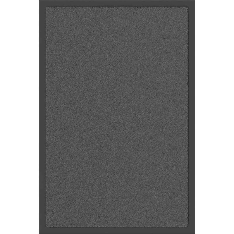 foto del prodotto zerbino antracite 40x60 cm - vidaxl