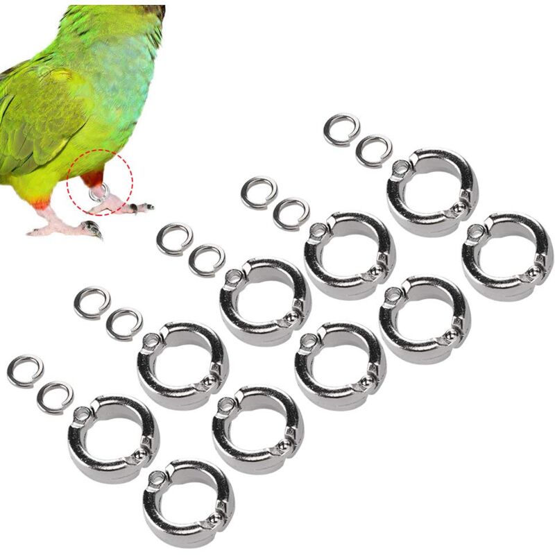 foto del prodotto zoternen anello per zampe di pappagallo in lega, anello per zampe di uccello, anello per zampe di uccello, uccelli da esterno per pappagalli 10 