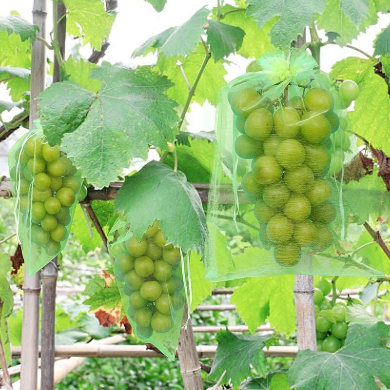 foto del prodotto zvd 50 pieces grape protection bag, 30x20cm, organza bags, fruit protection bag, insect net, protection and pest control for garden green 