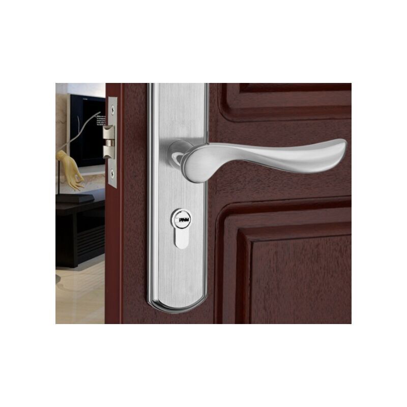 foto del prodotto zvd door handle lever, euro lever lock, 2 lever lock, cylinder, brass key, stainless steel brushed steel 