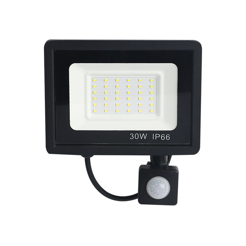 foto del prodotto zvd faretto led a infrarossi per esterni da cortile induzione del corpo umano 30 w