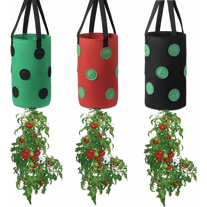 foto del prodotto zvd grow bag per fragole e pomodori